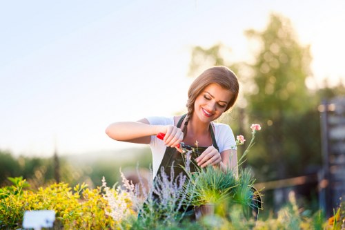 A woman tending to a garden during daylight hours, depicted with a cheerful expression as she waters or tends to a variety of plants, including flowering shrubs and green foliage, in a border garden area. The garden features dense and healthy green grass in the foreground, with a neat arrangement of flowering plants and bushes along the edge, dividing the lawn from the planted beds. In the background, there are trees and a fence, suggesting a private outdoor space, illuminated by natural sunlight with a soft, warm glow typical of weather conditions in Marylebone. The scene captures a well-maintained outdoor area suitable for gardening services, highlighting the lush, vibrant plant life and the organized layout of the gardenâ€™s borders and planting beds, illustrating typical elements of residential garden landscaping and maintenance in London.