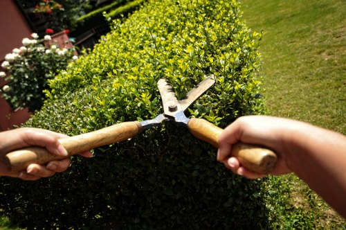 Eco-friendly hedge trimming practices in Marylebone