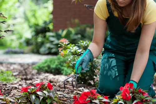 Sustainable gardening practices in Marylebone