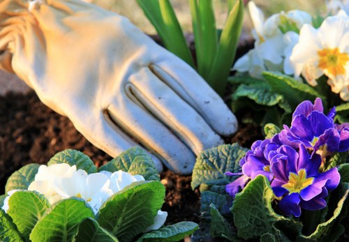 Professionals clearing a residential garden in Marylebone
