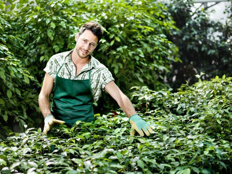 Comprehensive landscape design services