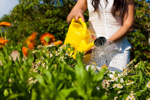 Healthy soil management practices in a Marylebone garden