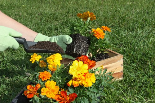 Eco-friendly lawn care practices in Marylebone
